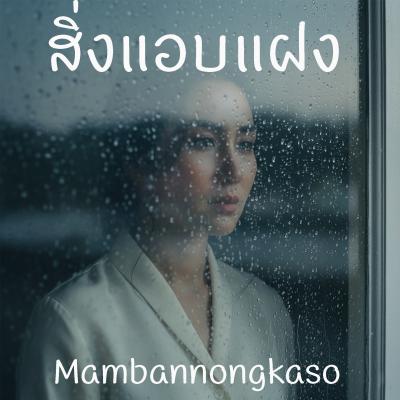 สิ่งแอบแฝง