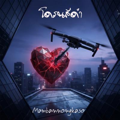 เพลงใหม่ : โดรนสีดำ