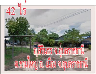 POP-1207 #ขายที่ดินอุบล ที่ดิน 1 ไร่ 1 งาน 65 ตรว. ต.ขี้เหล็ก อ.เมือง จ.อุบลฯ ติดถนนชยางกูร โซนทุ่งใ