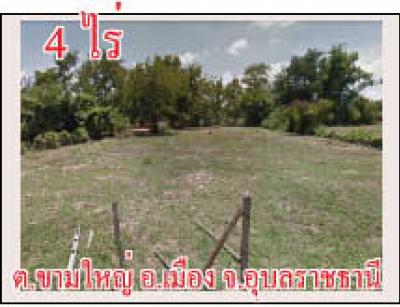 POP-1216 #ขายที่ดินอุบล ที่ดิน 4 ไร่ โซนหนองหว้า ต.ขามใหญ่ อ.เมือง จ.อุบลฯ แบ่งขายหรือยกแปลง ไร่ละ 6