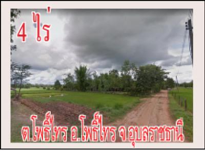 POP-1221 ที่ดิน 4 ไร่ บ้านแดง ต.โพธิ์ไทร อ.โพธิ์ไทร จ.อุบลฯ ห่างถนน 2337 เพียง 650 เมตร ไร่ละ 2 แสนบ