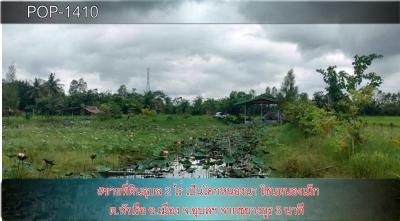 POP-1410 #ขายที่ดินอุบล 2 ไร่ เป็นโคกหนองนา โซนหนองเม็ก ต.หัวเรือ อ.เมือง จ.อุบลฯ จากชยางกูร 3 นาที