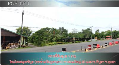 POP-1414 #ขายที่ดินอุบล 1 งาน โซนไทยสมุทรพิบูล (ตรงข้ามวัดภูเขาแก้ว) ห่างถนนใหญ่ 60 เมตร อ.พิบูลฯ จ.