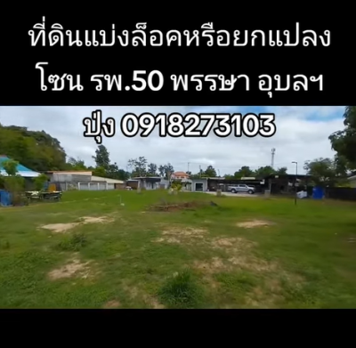 POP-02062568-01 #ขายที่ดินอุบล ที่ดิน 53-60 ตรว. แบ่งล็อคหรือขายรวม โซน รพ.50 พรรษาอุบล