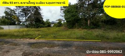 POP-080868-01 ที่ดิน 93 ตรว. ต.ขามใหญ่ อ.เมือง จ.อุบลราชธานี โซนหลังตลาดสันติสุข 2 บ้านปลาดุก