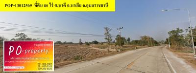 POP-13012569 #ขายที่ดินอุบล ที่ดิน 80 ไร่ ต.นาดี อ.นาเยีย จ.อุบลราชธานี