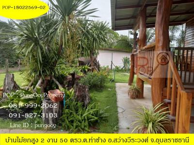 POP-18022569-02 บ้านไม้ยกสูง 2 งาน 50 ตรว.ต.ท่าช้าง อ.สว่างวีระวงศ์ จ.อุบลราชธานี