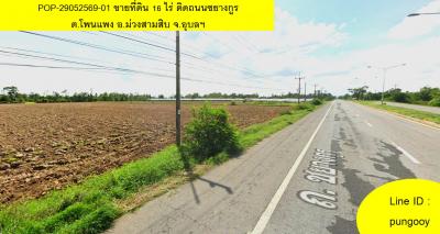 POP-29052569-01 ขายที่ดิน 16 ไร่ ติดถนนชยางกูร ต.โพนแพง อ.ม่วงสามสิบ จ.อุบลฯ