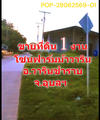 POP-28062569-01 ขายที่ดิน 1 งาน โซนฟาร์มม้าวาริน อ.วารินชำราบ จ.อุบลฯ
