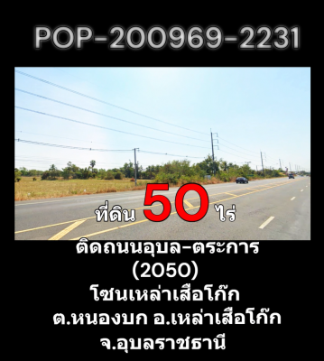 POP-200969-2231 ที่ดิน 50 ไร่ ติดถนนอุบล-ตระการ (2050) โซนเหล่าเสือโก๊ก ต.หนองบก อ.เหล่าเสือโก๊ก จ.อ