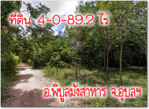 POP-09062568-01 #·Թغ Թ 4  .⾸ .Ժѧ .غ ⫹ҹ͹