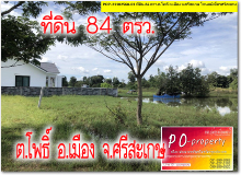 POP-21102568-01 #·Թ Թ 84 ..⾸ .ͧ . ⫹