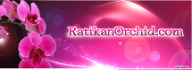 ratikan orchird